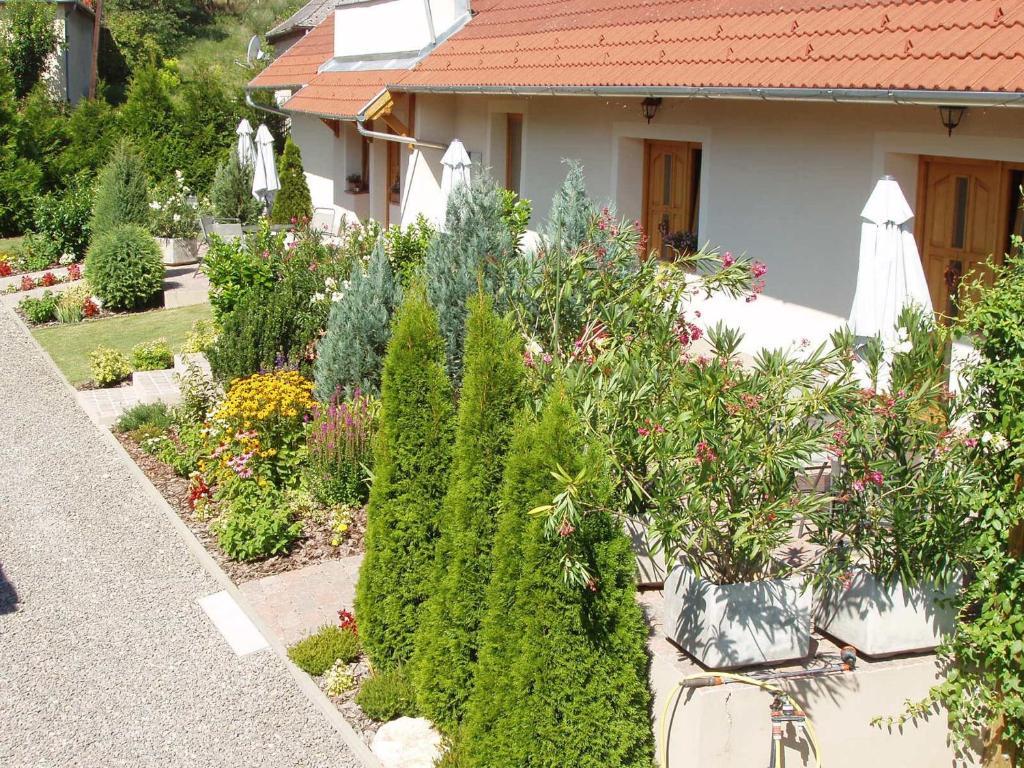 Franciska Portája Apartman Igal Kültér fotó